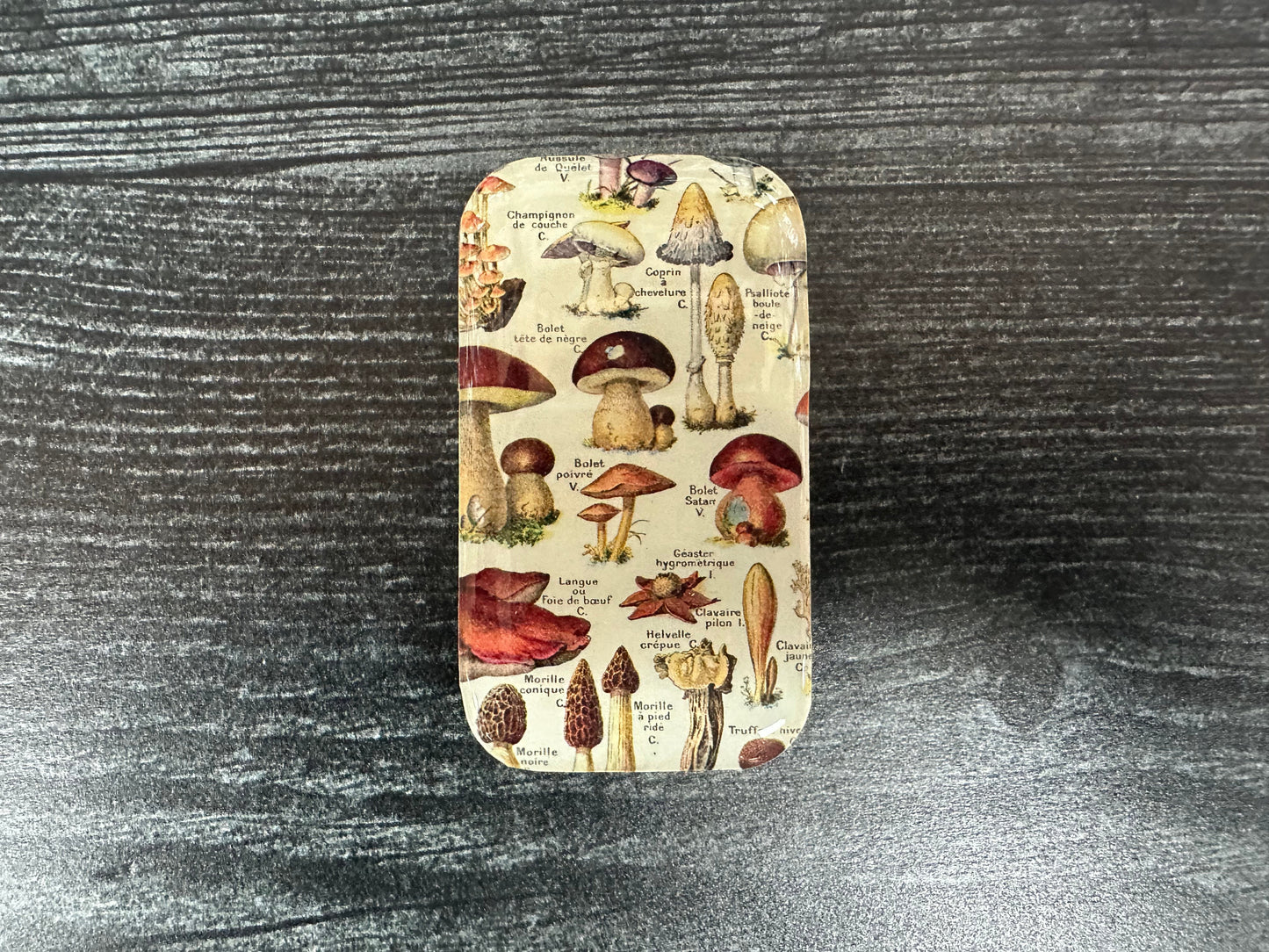 Firefly Note Small Tin