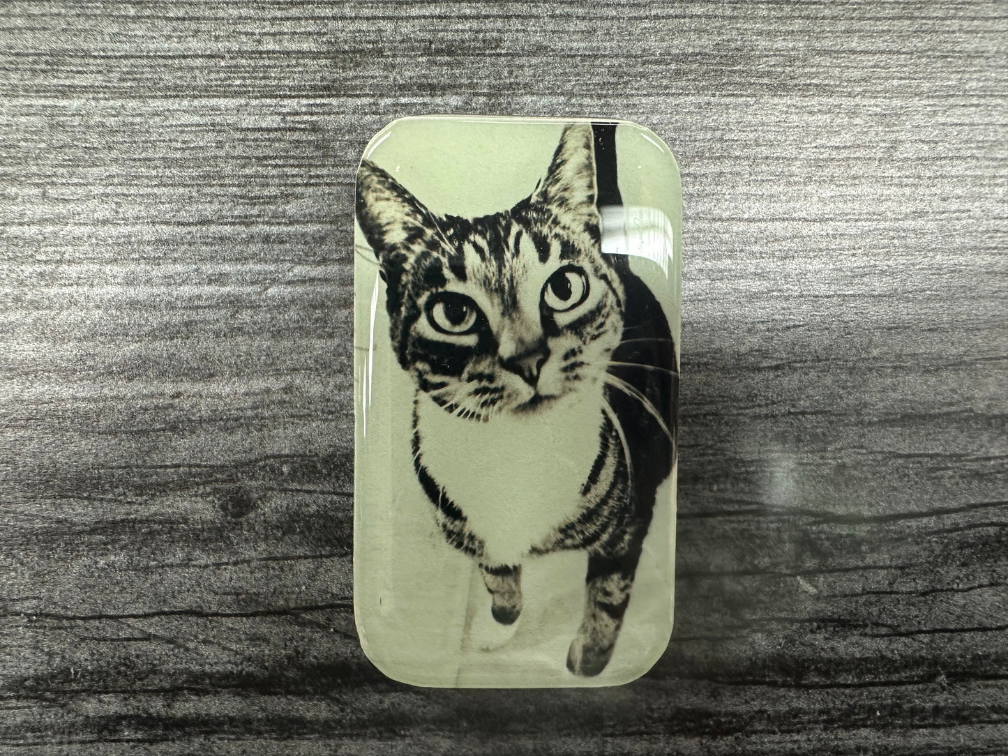 Firefly Note Small Tin