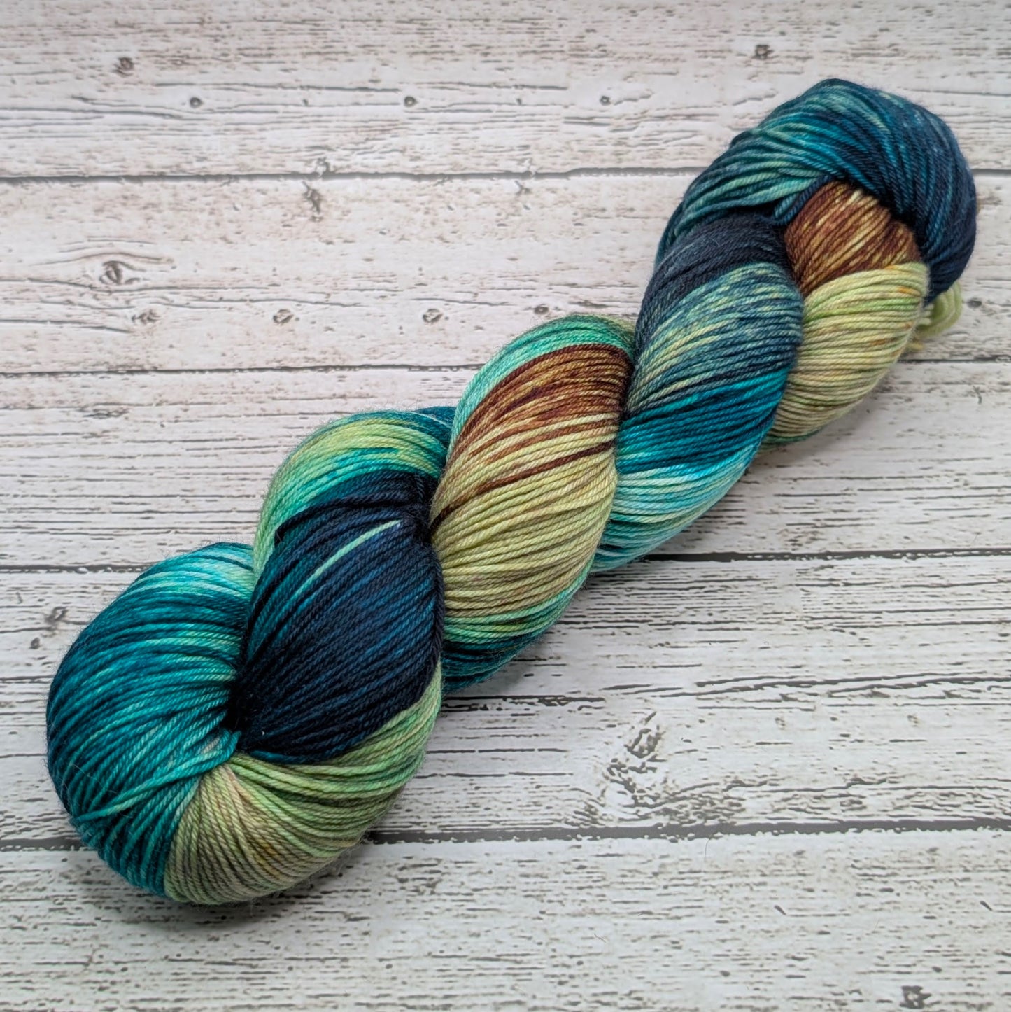 Black Cat Fibers Nomad Sock Dragonfly