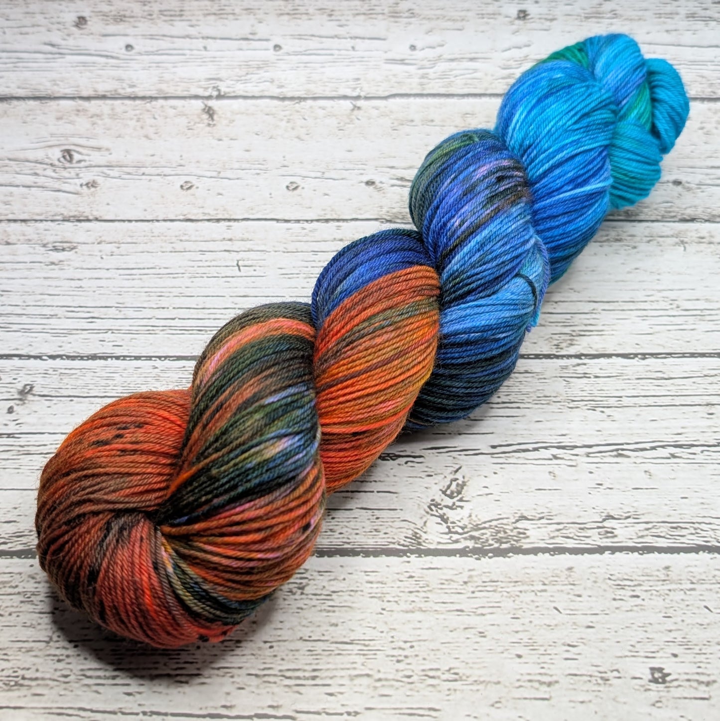 Black Cat FIbers Nomad Sock Fish Bowl