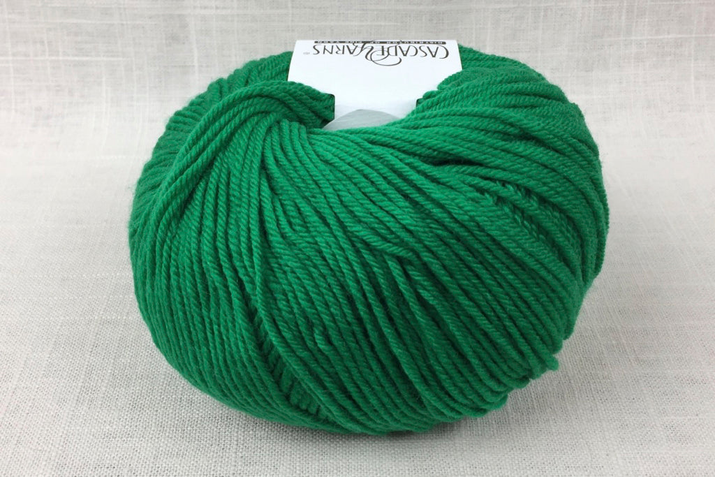 cascade 220 superwash light worsted DK 864 christmas green