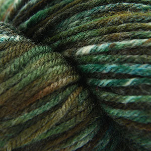 cascade 220 superwash handpaints 1002 mossy rock