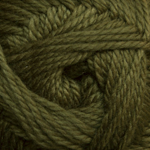 Cascade Cherub Aran 60 Fir Green